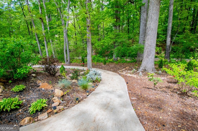 405 Adler Pt, Carrollton, GA 30117 - view of yard