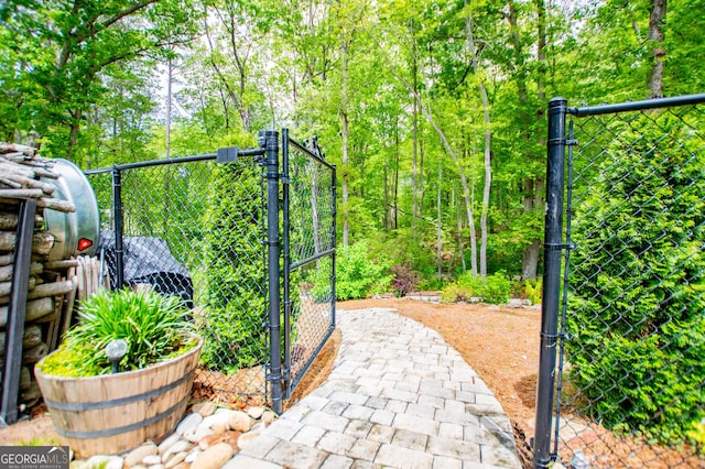 405 Adler Pt, Carrollton, GA 30117 - view of gate