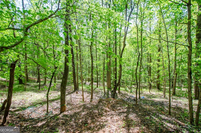 view of nature featuring a view of trees