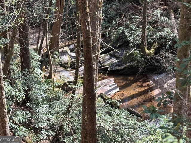 227 River Ridge Rd S, Dahlonega, GA 30533 - view of road featuring gravel driveway and a view of trees