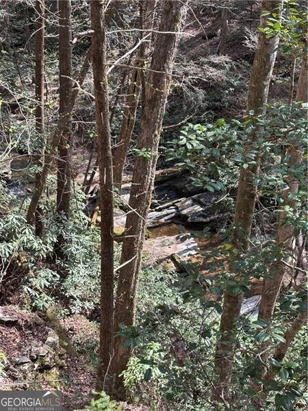 227 River Ridge Rd S, Dahlonega, GA 30533 - view of street with driveway