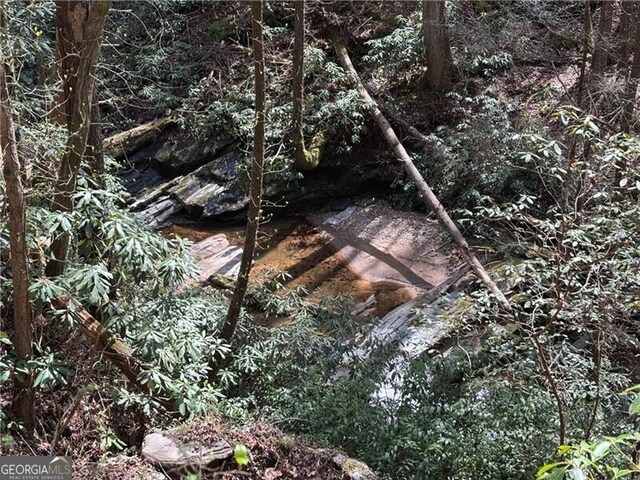 227 River Ridge Rd S, Dahlonega, GA 30533 - view of property exterior featuring a wooden deck