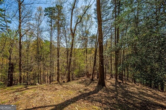 227 River Ridge Rd S, Dahlonega, GA 30533 - view of property exterior