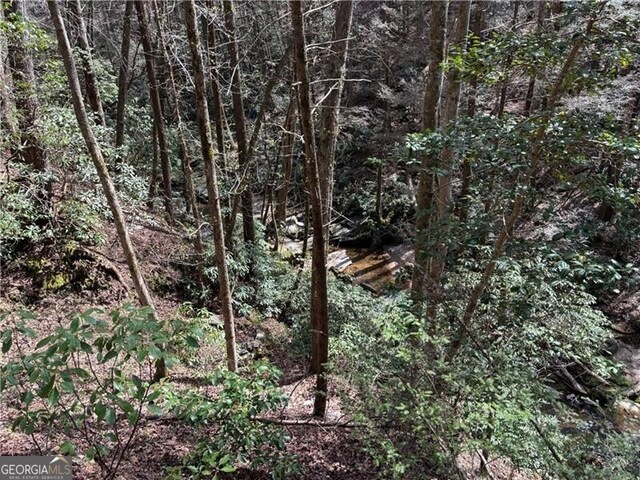 227 River Ridge Rd S, Dahlonega, GA 30533 - view of local wilderness featuring a forest view