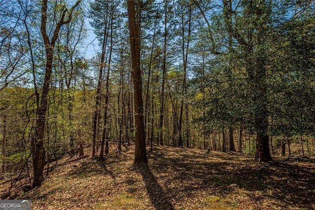 227 River Ridge Rd S, Dahlonega, GA 30533 - view of road with a wooded view