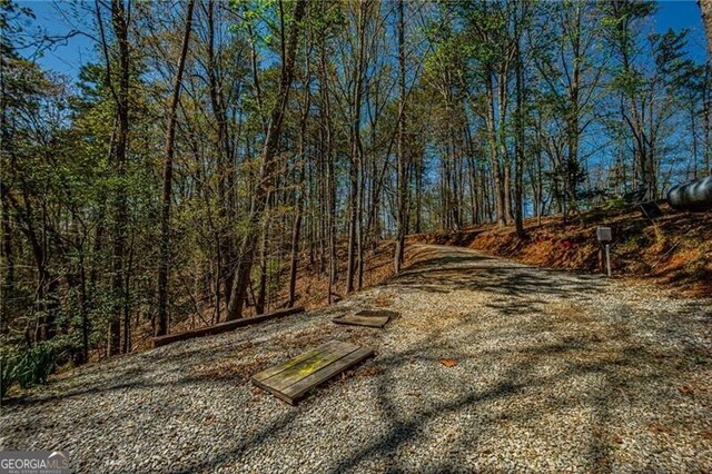 227 River Ridge Rd S, Dahlonega, GA 30533 - view of street featuring a view of trees