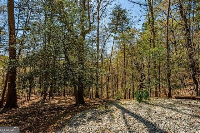 227 River Ridge Rd S, Dahlonega, GA 30533 - view of nature with a view of trees
