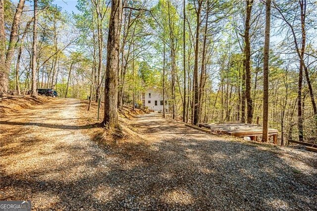 227 River Ridge Rd S, Dahlonega, GA 30533 - view of road featuring gravel driveway and a view of trees