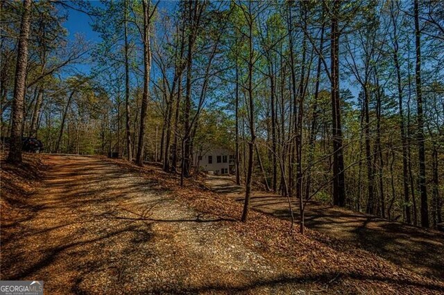 227 River Ridge Rd S, Dahlonega, GA 30533 - view of local wilderness featuring a forest view