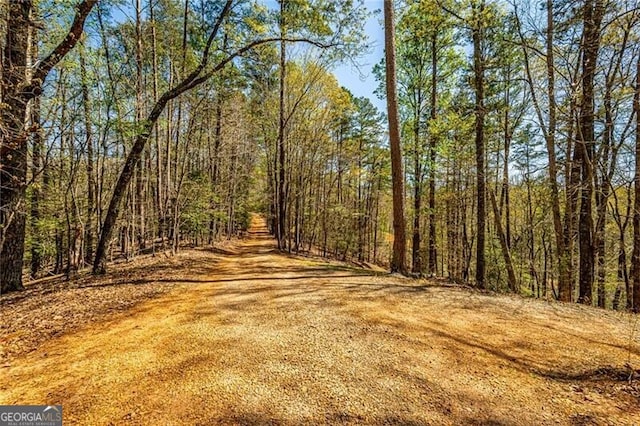 227 River Ridge Rd S, Dahlonega, GA 30533 - view of road with a wooded view