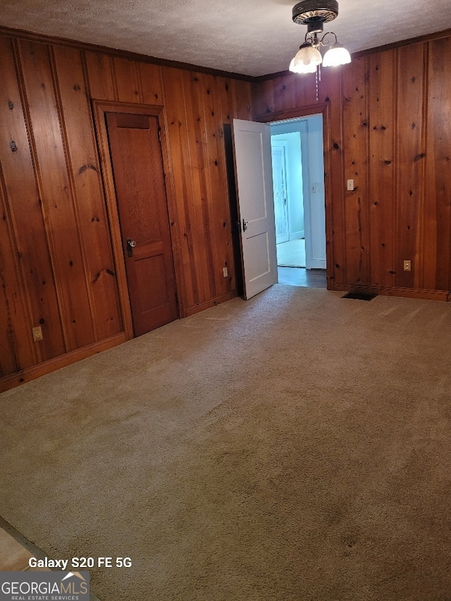 interior space with wooden walls, a textured ceiling, carpet flooring, and a closet