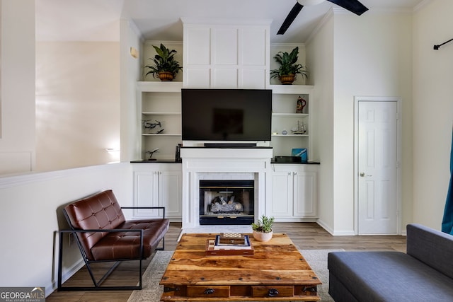 4246 River Green Dr Unit 202, Atlanta, GA 30327 - living room featuring light wood finished floors, ornamental molding, ceiling fan, and a glass covered fireplace