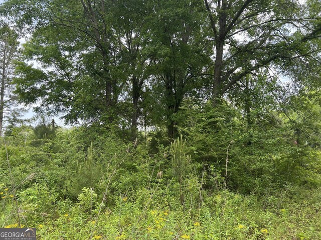 0 Holliday Rd, Dublin, GA 31021