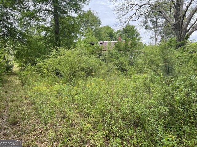 0 Holliday Rd, Dublin, GA 31021