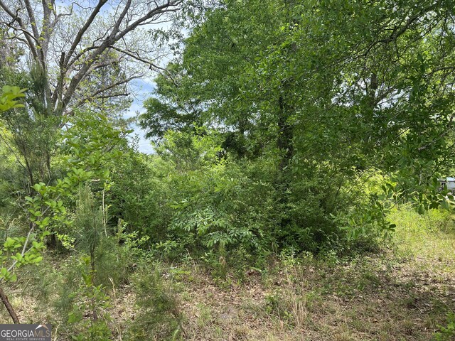 0 Holliday Rd, Dublin, GA 31021