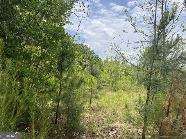 0 Holliday Rd, Dublin, GA 31021