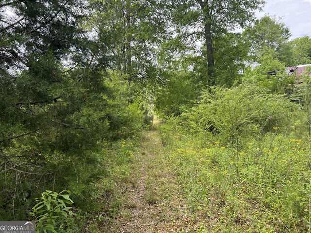 0 Holliday Rd, Dublin, GA 31021