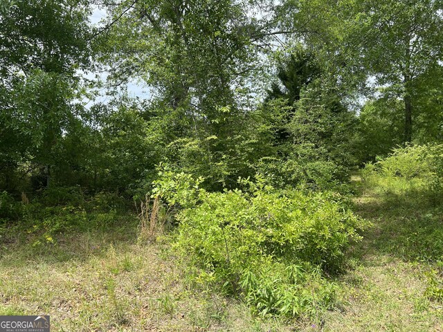 0 Holliday Rd, Dublin, GA 31021