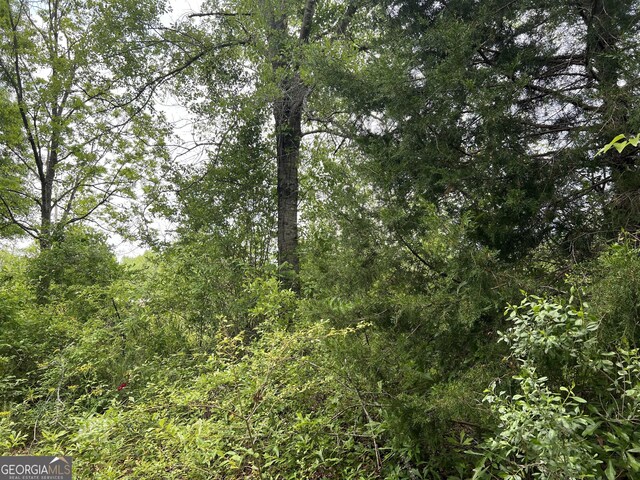 0 Holliday Rd, Dublin, GA 31021