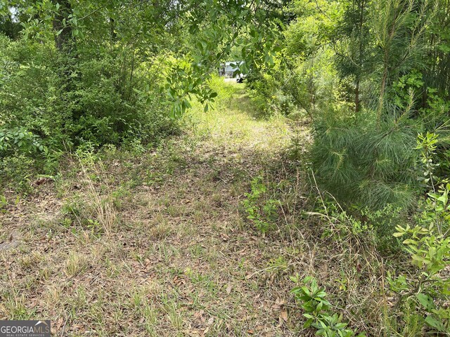 0 Holliday Rd, Dublin, GA 31021
