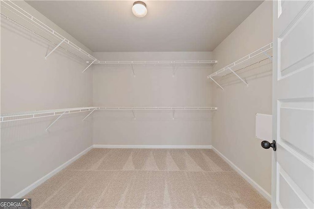 spacious closet featuring carpet floors