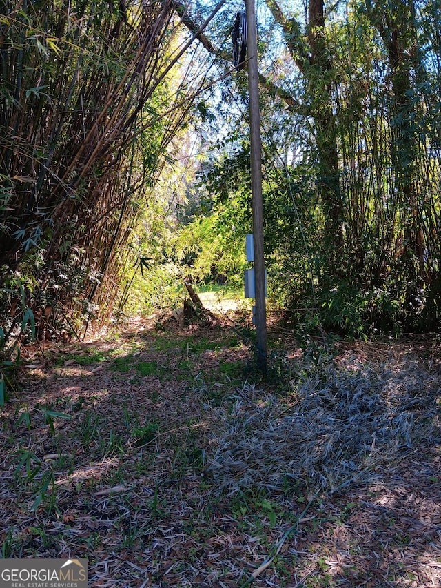 506 Mcdonald St, Waycross, GA 31503 - view of landscape