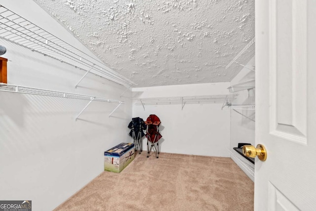 walk in closet featuring carpet flooring