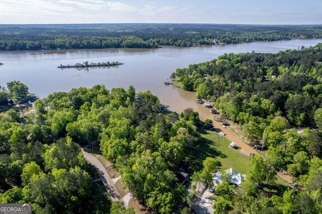 drone / aerial view featuring a view of trees and a water view