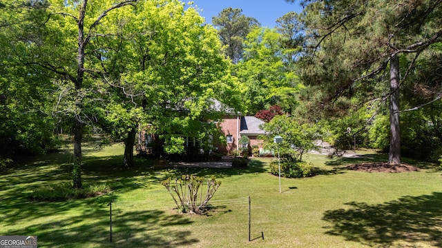 view of yard