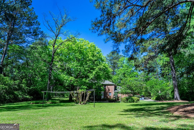 view of yard featuring volleyball court