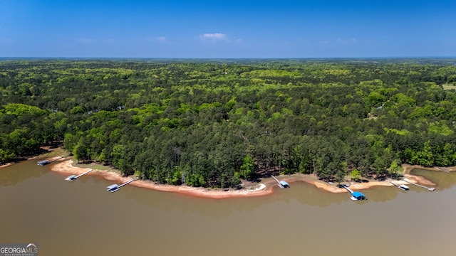 birds eye view of property featuring a water view and a wooded view