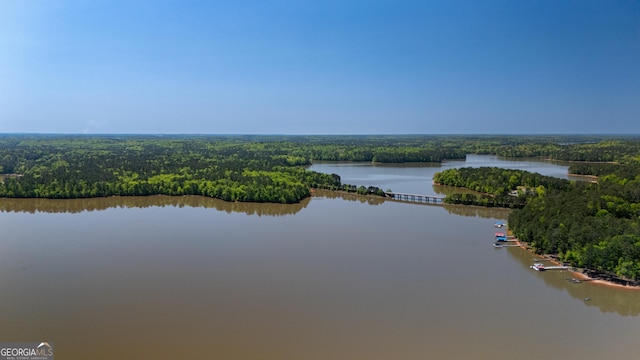 drone / aerial view with a wooded view and a water view
