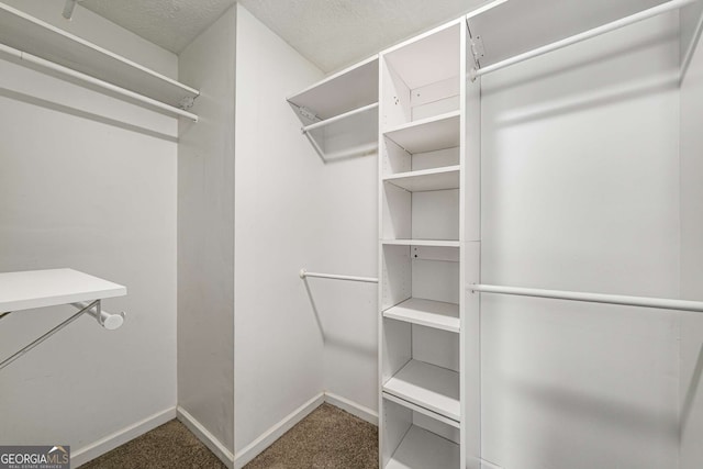 1320 Pinyon Pl, Lawrenceville, GA 30043 - spacious closet featuring carpet flooring