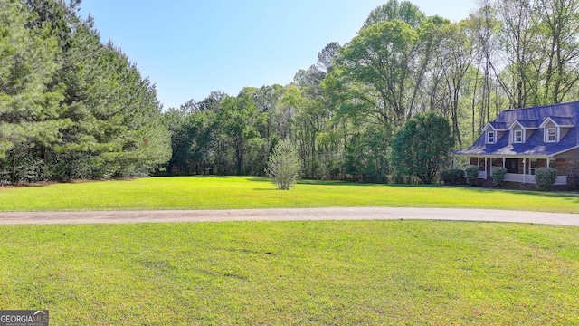5800 S Richland Creek Rd, Buford, GA 30518 - view of home's community featuring a lawn
