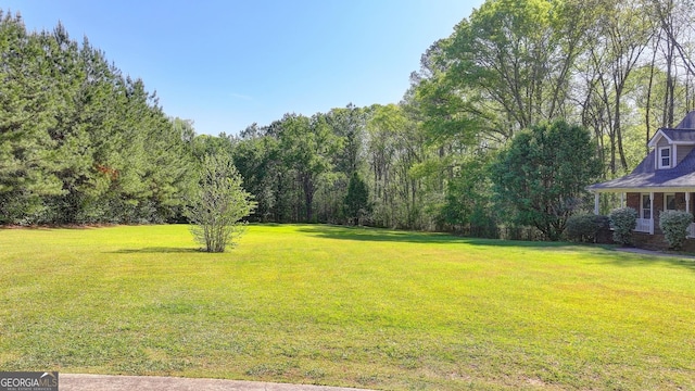 5800 S Richland Creek Rd, Buford, GA 30518 - view of yard