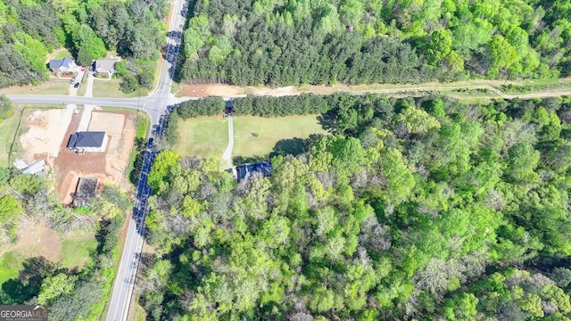 5800 S Richland Creek Rd, Buford, GA 30518 - birds eye view of property