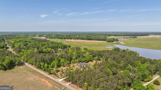 birds eye view of property featuring a view of trees and a water view