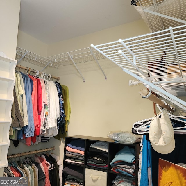 view of walk in closet