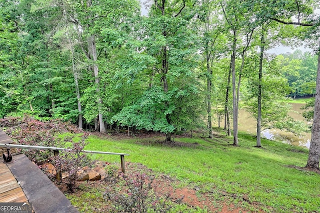 327 Kissimmee Trl, Cornelia, GA 30531 - view of yard