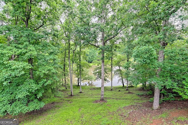 327 Kissimmee Trl, Cornelia, GA 30531 - view of grassy yard