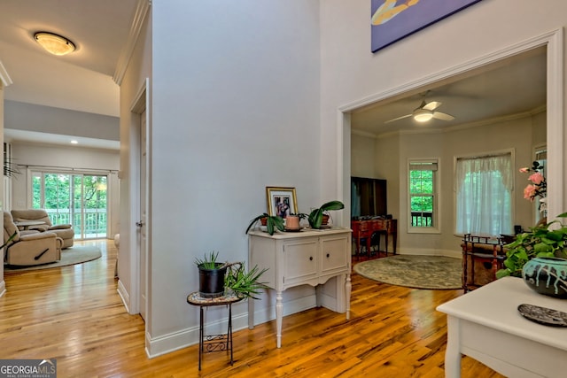 327 Kissimmee Trl, Cornelia, GA 30531 - hallway featuring wood finished floors, ornamental molding, and baseboards