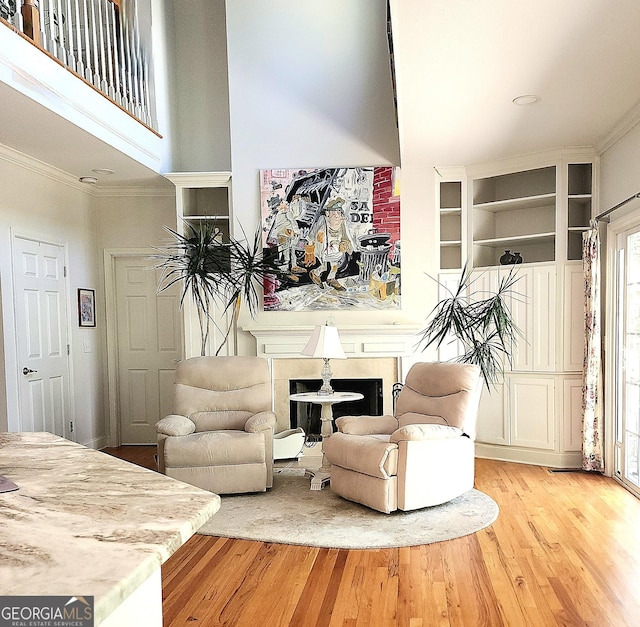 living area featuring ornamental molding, light wood finished floors, and a fireplace