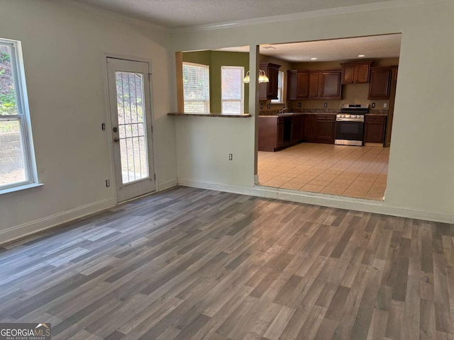 4234 Winston Cir, Atlanta, GA 30349 - kitchen with light wood finished floors, baseboards, stainless steel range, and ornamental molding