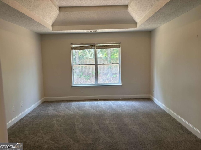 4234 Winston Cir, Atlanta, GA 30349 - empty room featuring a textured ceiling, visible vents, baseboards, carpet, and a raised ceiling