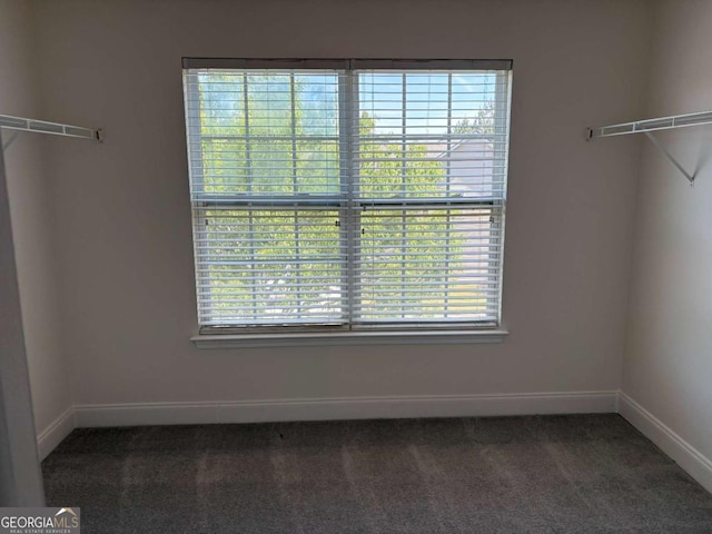 4234 Winston Cir, Atlanta, GA 30349 - walk in closet with carpet flooring