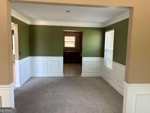 4234 Winston Cir, Atlanta, GA 30349 - spare room with a decorative wall, crown molding, a sink, a wainscoted wall, and carpet flooring