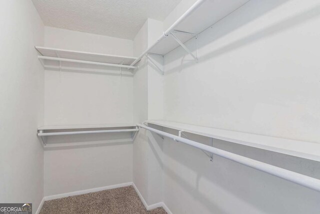 2092 Countydown Ln, Stone Mountain, GA 30088 - spacious closet featuring carpet