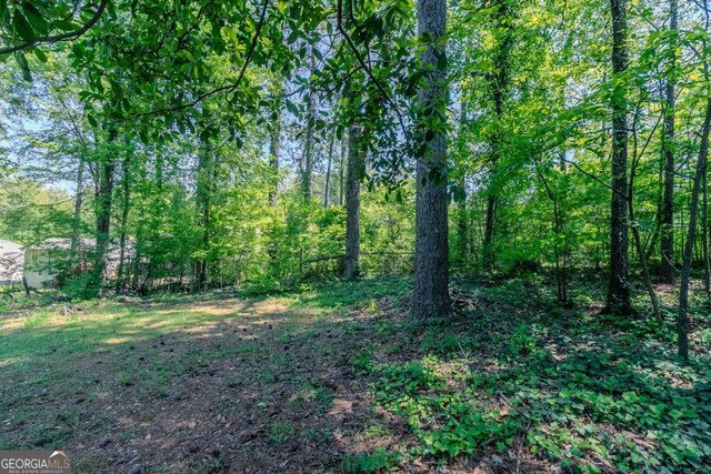 2092 Countydown Ln, Stone Mountain, GA 30088 - view of landscape