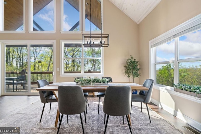 1016 Twisted Oak Rd Unit 115, Talking Rock, GA 30175 - dining room with wood finished floors, plenty of natural light, and high vaulted ceiling