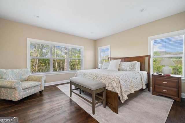 1016 Twisted Oak Rd Unit 115, Talking Rock, GA 30175 - bedroom with dark wood-type flooring and multiple windows